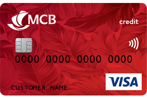 Visa Classic Credit Card