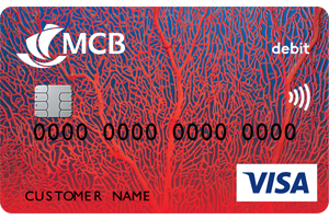 Visa Debit Card